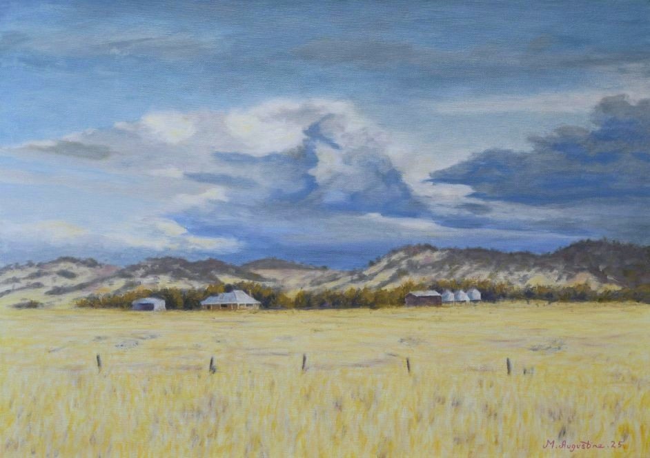 Willowie 51x72cm  $900